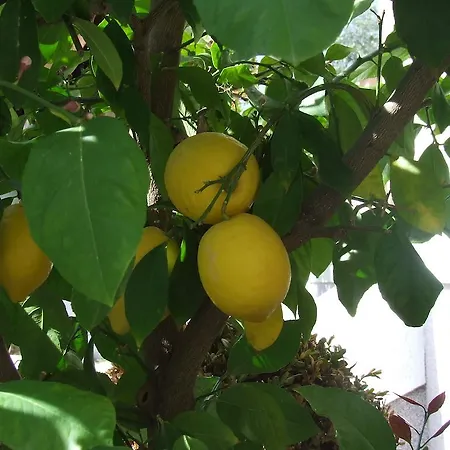 And Ana Casa de hóspedes 3*