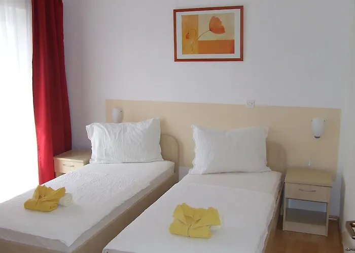 ルームズ アンド アナ ザダル